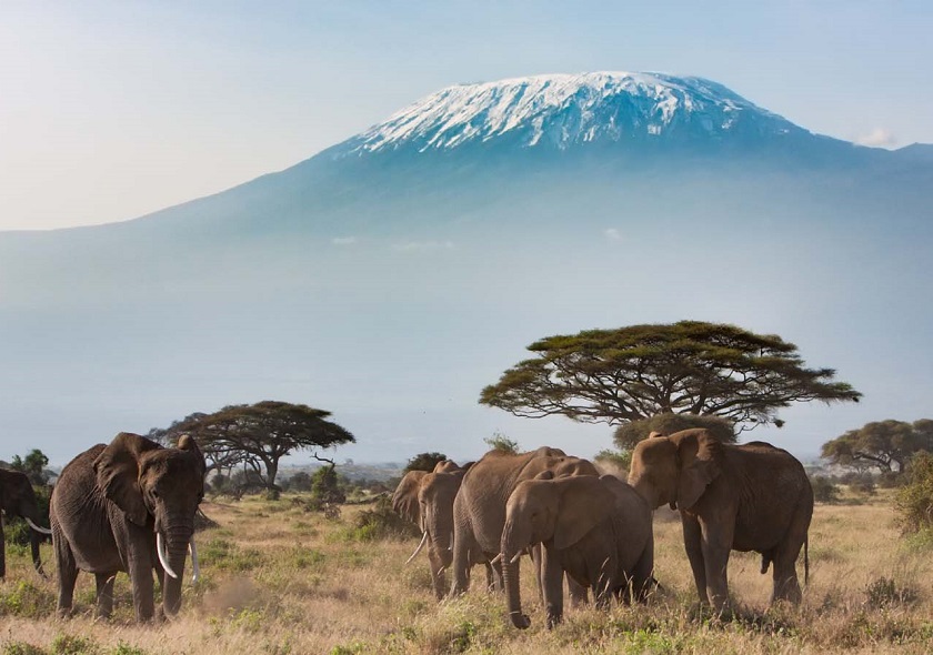 amboseli1
