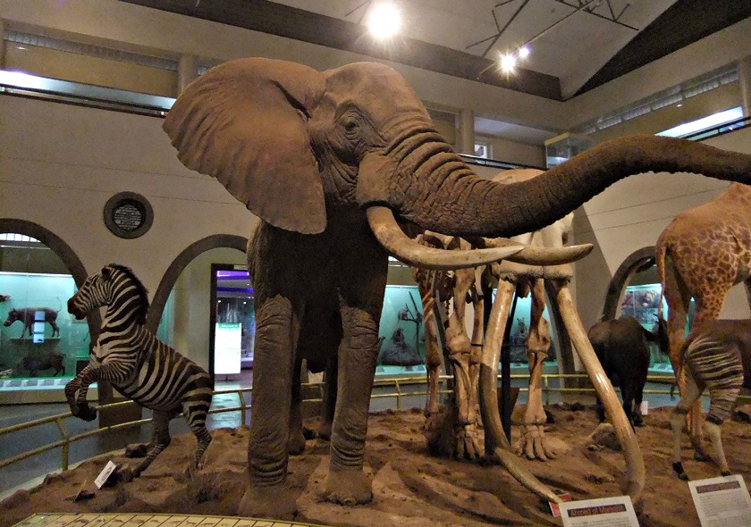kisumu5