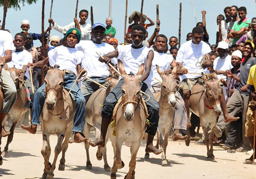lamu8