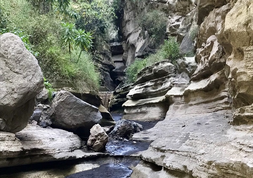 naivasha3