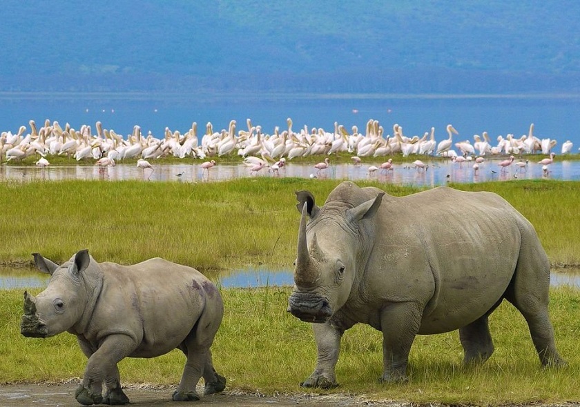 nakuru1