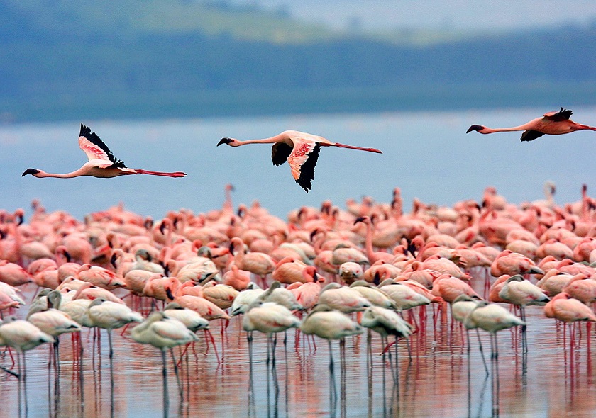 nakuru2