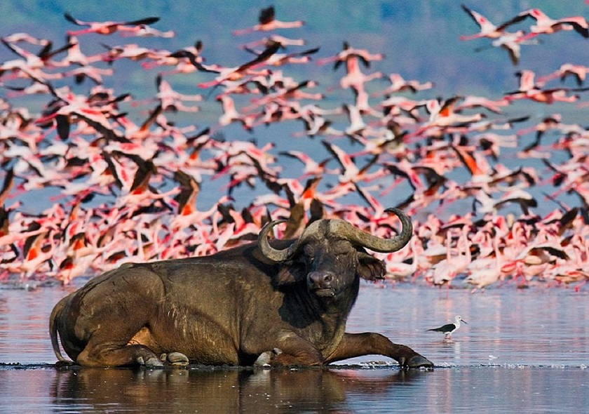 nakuru3